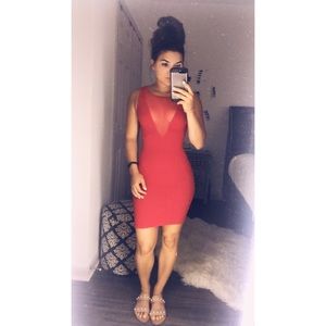American Apparel Fitted Dress